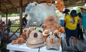 Capibara Fest 2025 en Guatemala