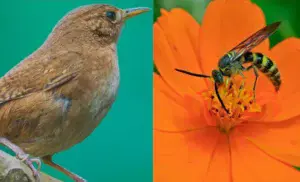 Feria Naturalium 2025 en Guatemala