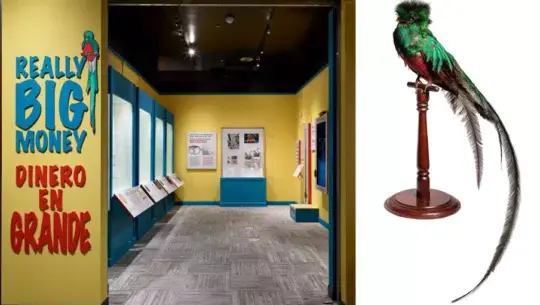 Figura Quetzal forma parte de una exposición en Washington, Estados Unidos