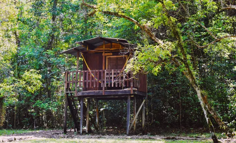 Hoteles en casas de árbol en Guatemala