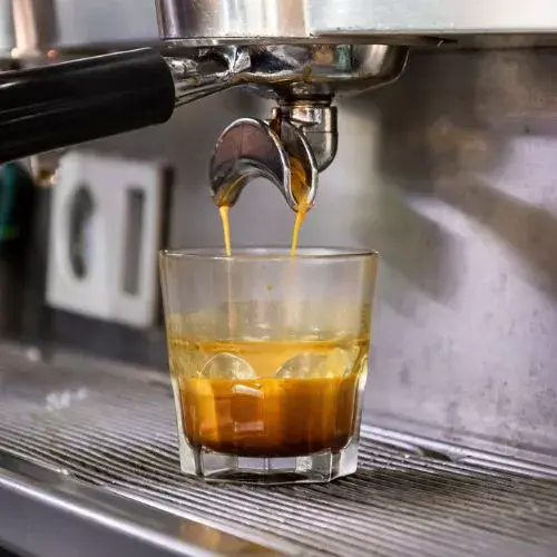 La Cata de Café 2025 en Siena Luz Coffee Shop