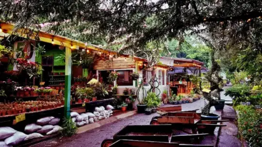 Lugares para disfrutar de la lluvia en la Ciudad de Guatemala