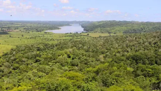 Parque Ecológico Calvani