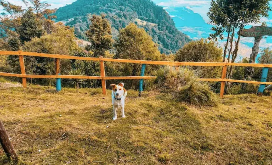 Parques pet-friendly cerca de la Ciudad de Guatemala