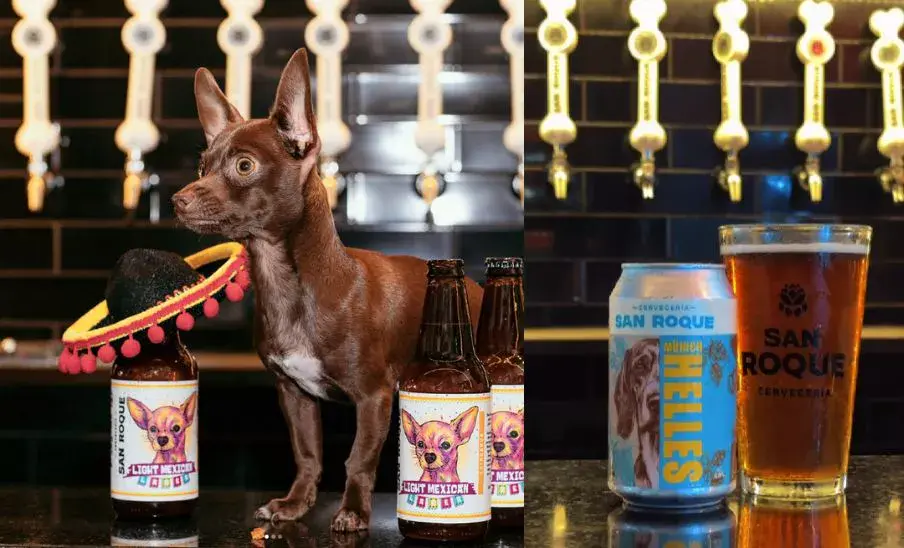 The Bark, una cervecería con temática canina en la Ciudad de Guatemala