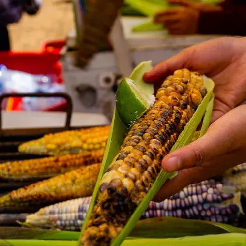 Un Festival del Maíz 2025 en Santa María de Jesús