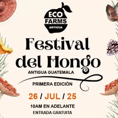 El Festival del Hongo 2025 en Guatemala