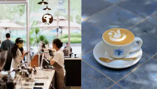 Torch Coffee Company