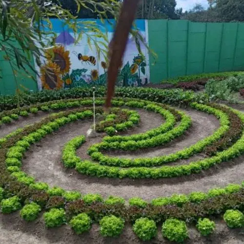 Un Festival del Hongo 2025 en Guatemala