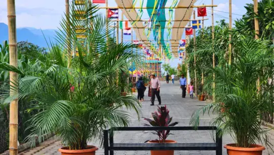 calle de las banderas