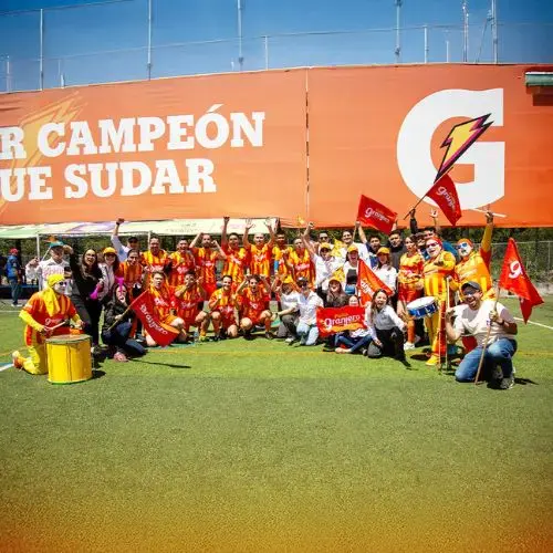 equipo de granjero en la chamusca del año 2025