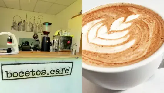Bocetos Café en Jocotenango