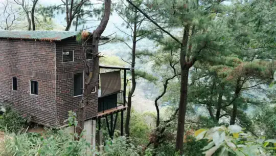 Cabaña Hass