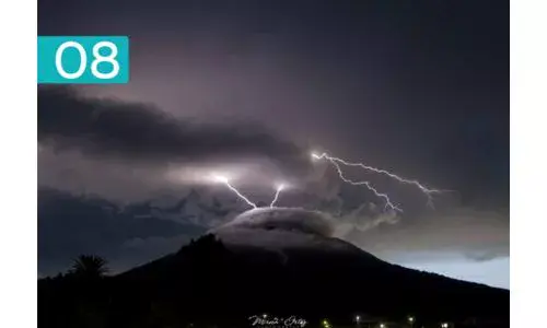 Fotografías ganadoras Fotocyt 2025