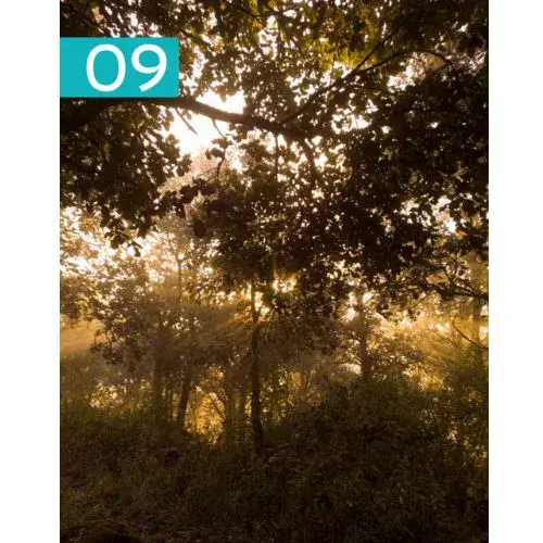 Ganador Fotocyt edición 2025