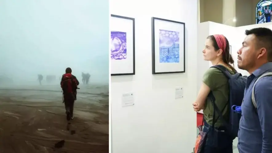 Las 12 fotografías sobre ciencia que destacaron en el concurso Fotocyt 2025