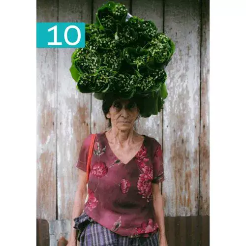 Los Ganadores Fotocyt 2025