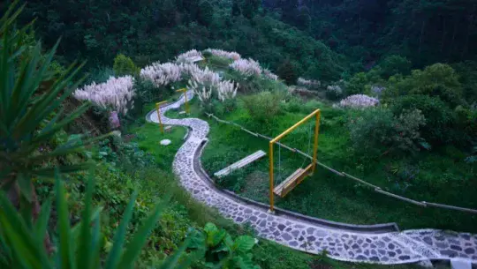 Parque Ecológico Colonia Santo Domingo