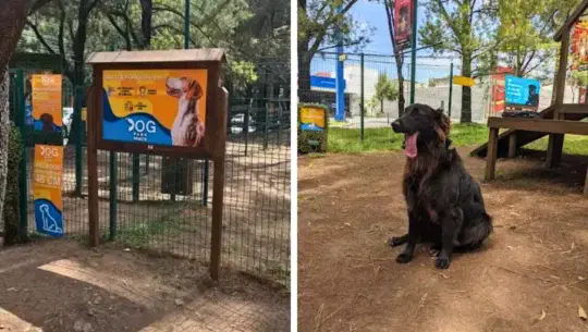 dog park san cristóbal