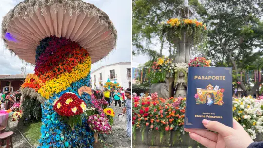 El tema del Festival de las Flores 2025 fue revelado