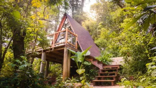 Boscaje Glamping 2025