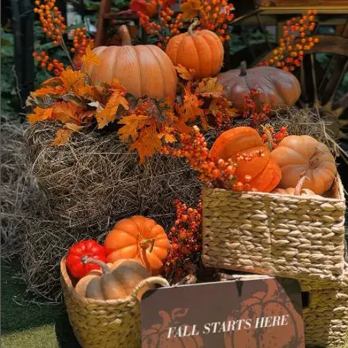 Nuevo Pumpkin & Drink en Oakland Place 2025