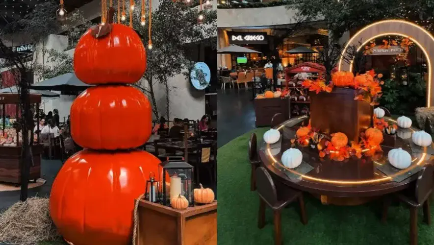 Pumpkin & Drink en Oakland Place 2025