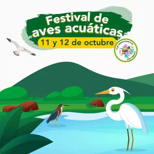 Un Festival de Aves Acuáticas 2025 en Parque Naciones Unidas