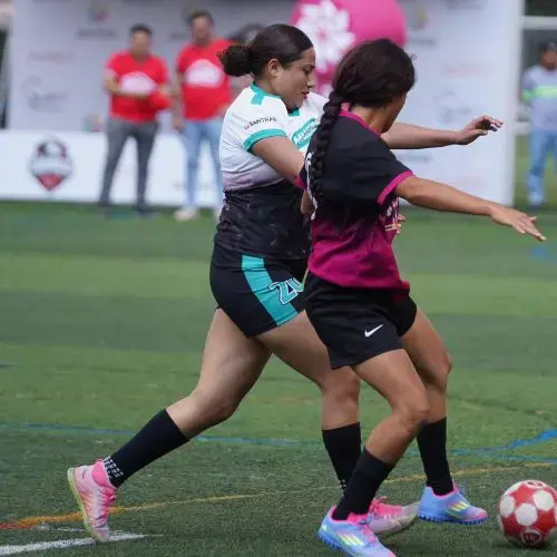 Ver en vivo fútbol gratis
