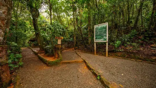 biotopo del quetzal