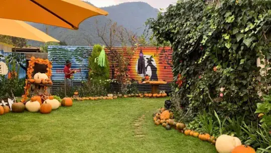 calabazas en xela