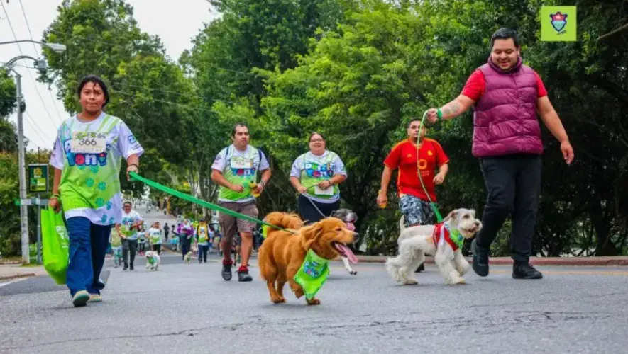 Carrera de mascotas 2025 de la Municipalidad de Guatemala