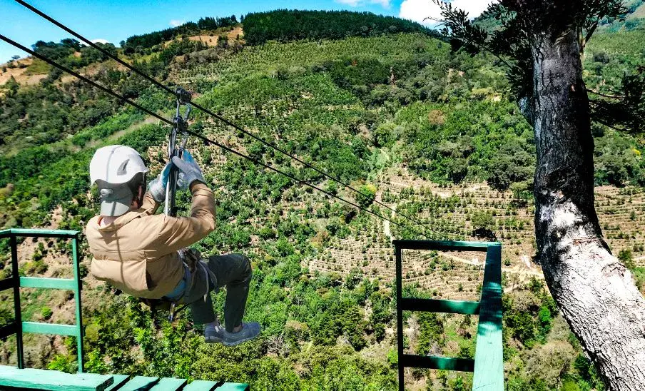 Filadelfia Canopy Tours Filadelfia Canopy Tours