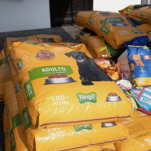 Nuevo Croquetón 2025 en Ciudad Cayalá