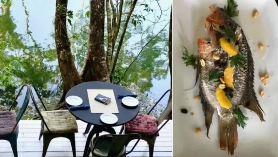 Restaurante Dreamcatchers, un rincón entre la selva de Río Dulce