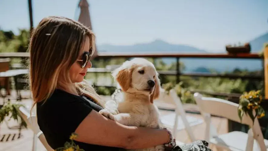 Restaurantes donde puedo llevar a mi perrito en Antigua Guatemala
