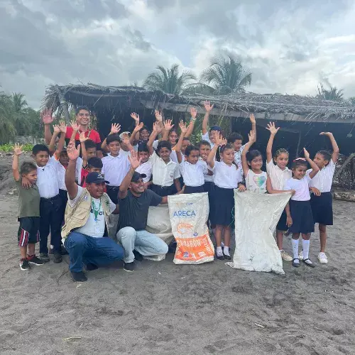 Liberación de tortugas marinas en Guatemala un esfuerzo de conservación en la costa Pacífica
