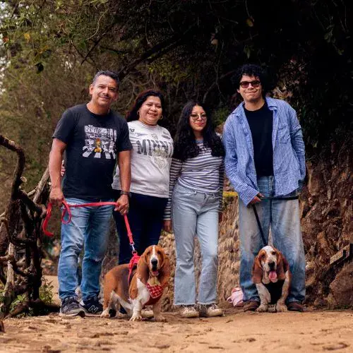 lugares petfriendly en Antigua Guatemala