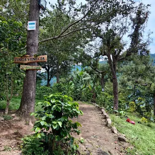 Finca Venecia de Atitlán