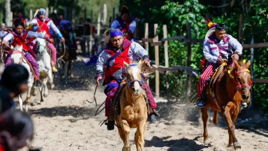 La carrera Juego de Gallos busca ser declarada Patrimonio Intangible de la Nación