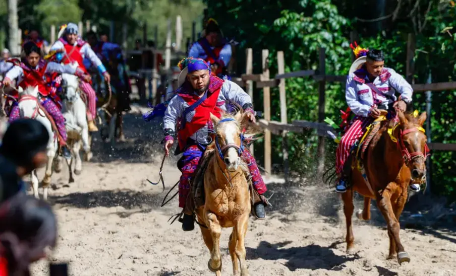 La carrera Juego de Gallos busca ser declarada Patrimonio Intangible de la Nación