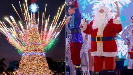 Sorpresas que los guatemaltecos vivirán en el Festival Árbol Gallo 2025