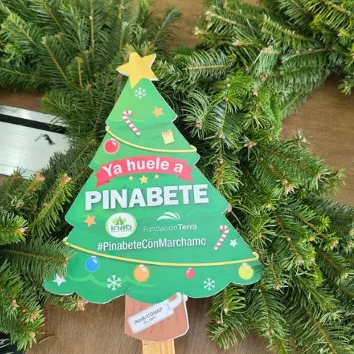 Una Feria de Pinabete 2025 en Ciudad de Guatemala