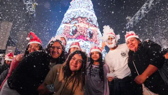 encendido del Árbol Gallo 2025