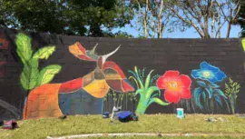 murales artísticos en Santo Domingo Suchitepéquez