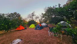 Campamento La Joya