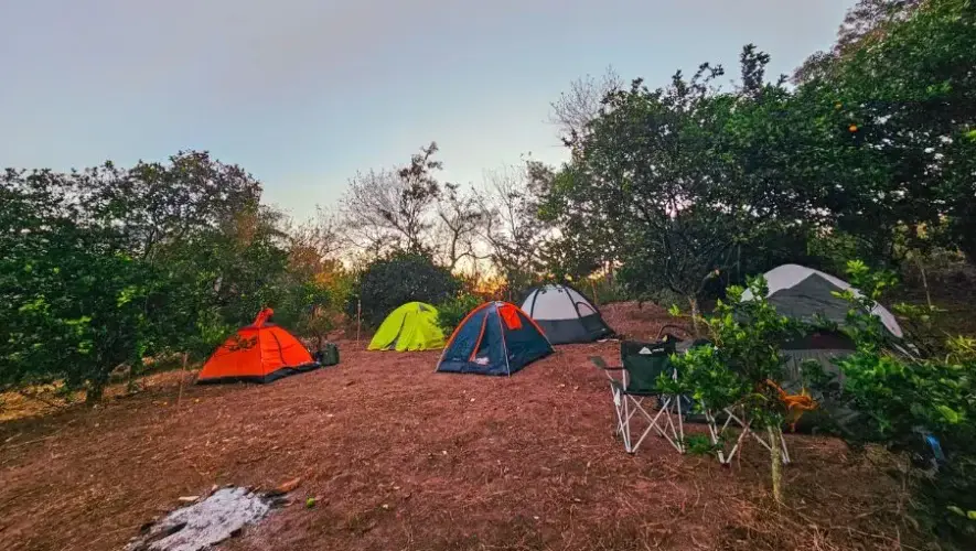 Campamento La Joya