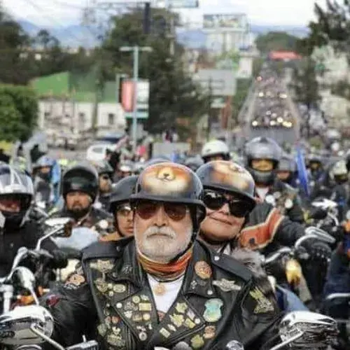 Caravana del Zorro 2026