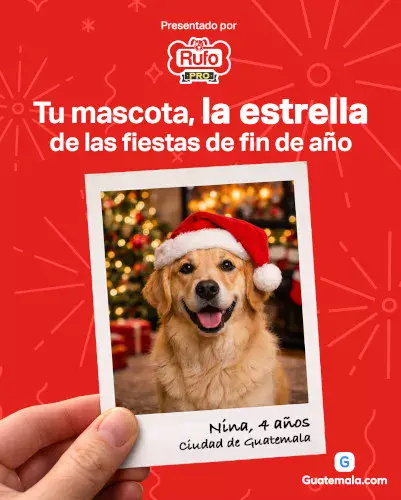 Consejos para cuidar la salud de tus mascotas durante la pirotecnia de fin de año 2025 en Guatemala