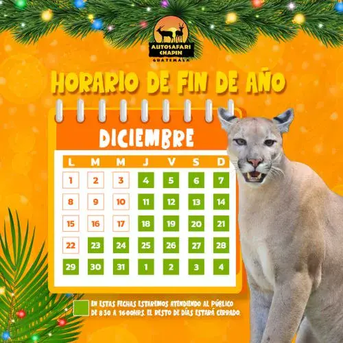 Horarios de fin de año 2025 del Auto Safari Chapín